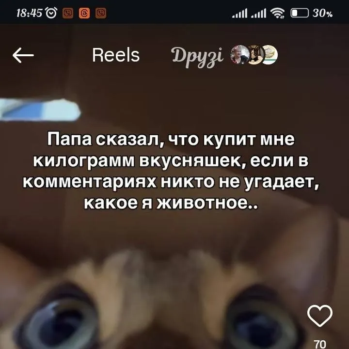 chat with ai character: my cat 2