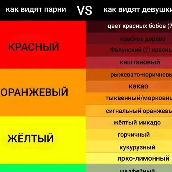 chat with ai character: color pallet