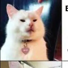 chat with ai character: meme zone