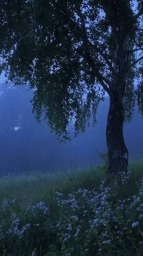 ai character: Tigrão background