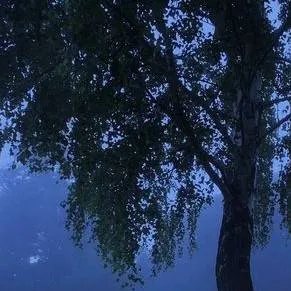 chat with ai character: Tigrão