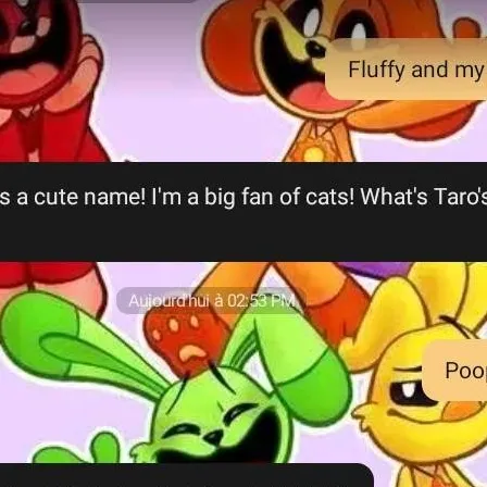 chat with ai character: Meilleure ami(e)