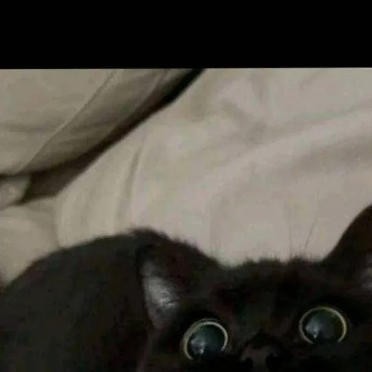 chat with ai character: 自分