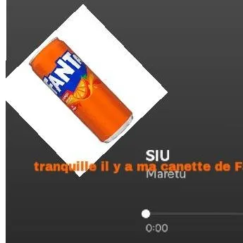 chat with ai character: canette volante 