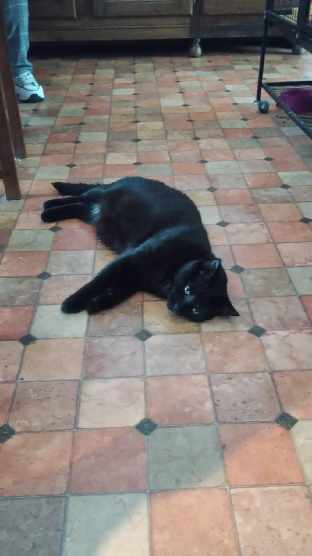 ai character: kk liquide XD background