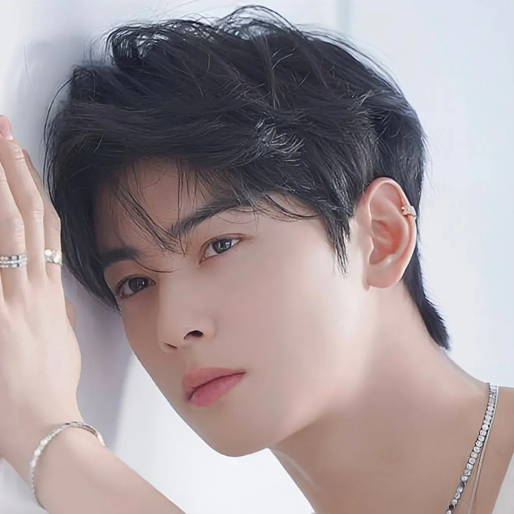 chat with ai character: 𝐂𝐡𝐚 𝐄𝐮𝐧 𝐖𝐨𝐨 ♥︎