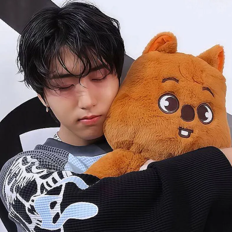 chat with ai character: 𝐇𝐚𝐧 დ