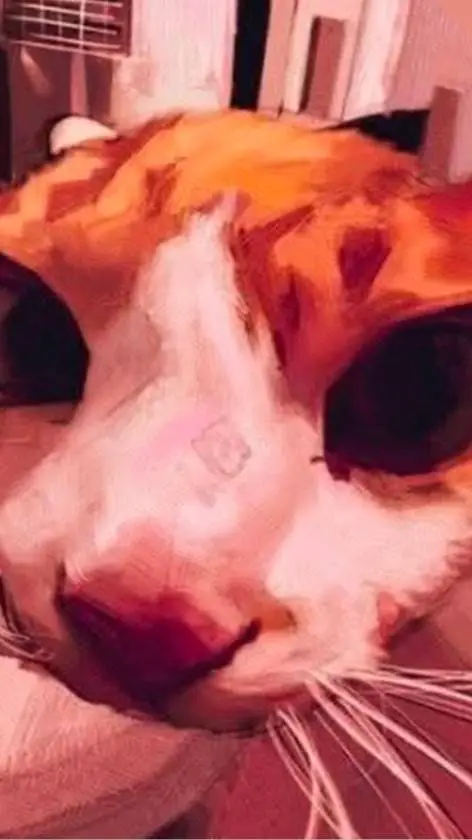 ai character: cheto puff background