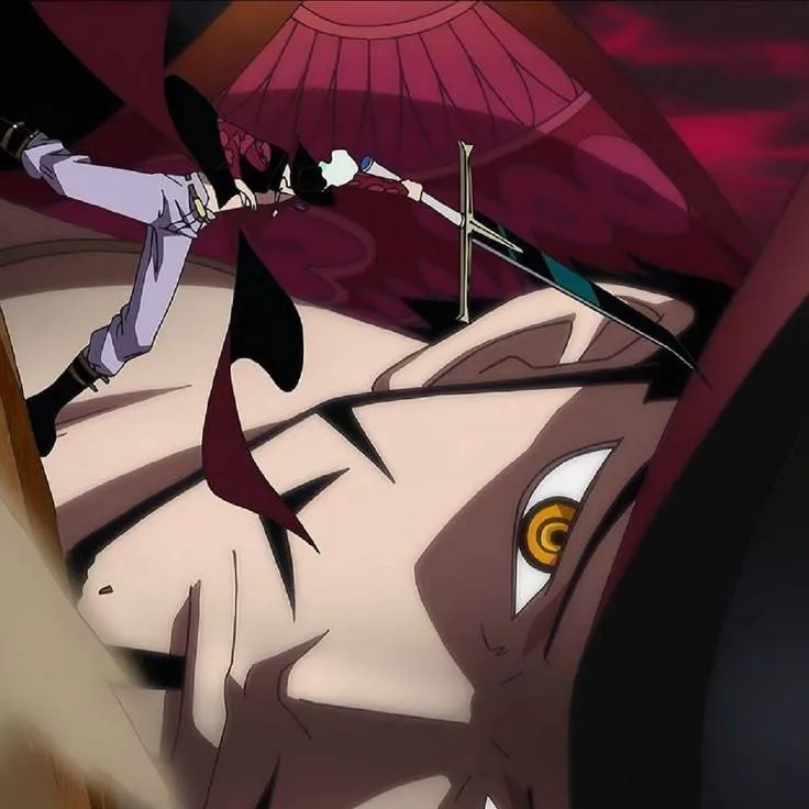 chat with ai character: 🦅Dracule Mihawk🦅