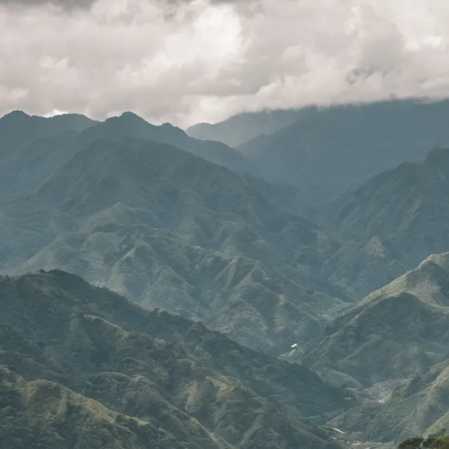 chat with ai character: colombia