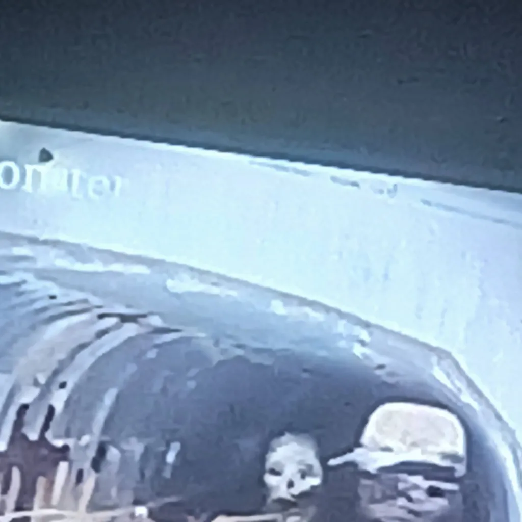 chat with ai character: canal monster 