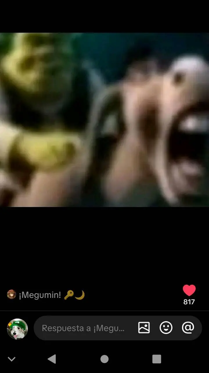 ai character: Shrek deja q burro background