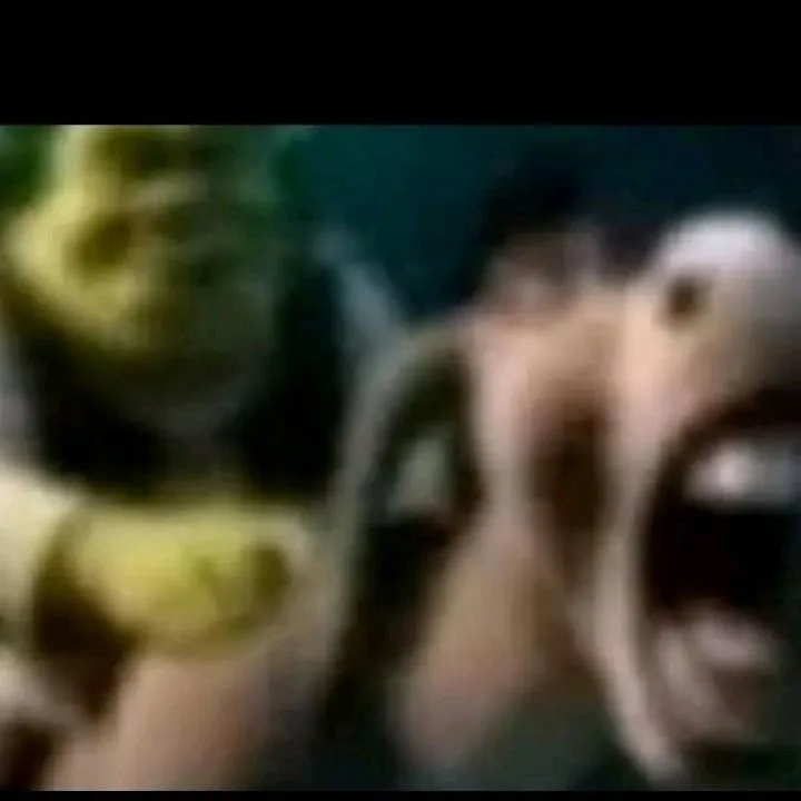 chat with ai character: Shrek deja q burro