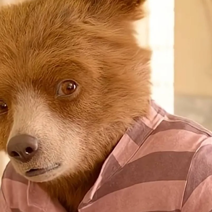 chat with ai character: austibrit guy 