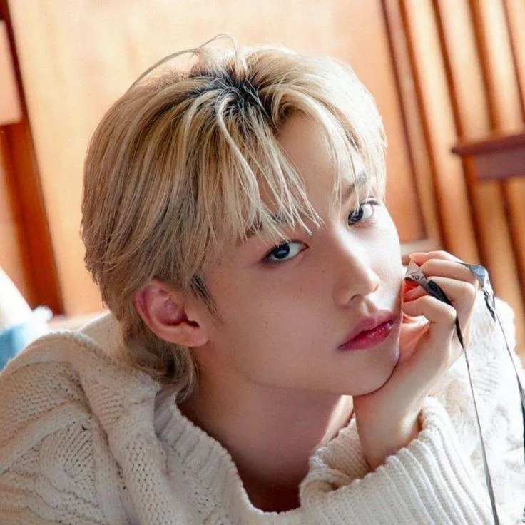 chat with ai character: ❥₊˚⊹ 𝐅⃟𝐄𝐋𝐈𝐗 ⊹˚₊❥