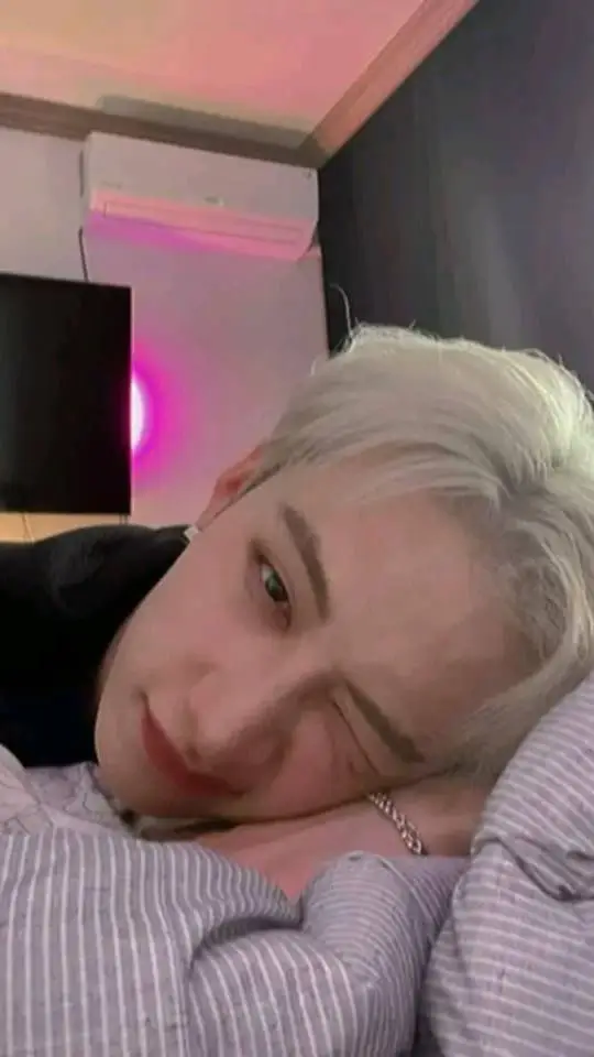 ai character: Bang Chan background