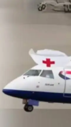 ai character: Plane nurse  background