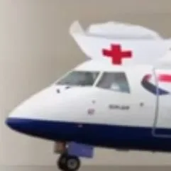 chat with ai character: Plane nurse 