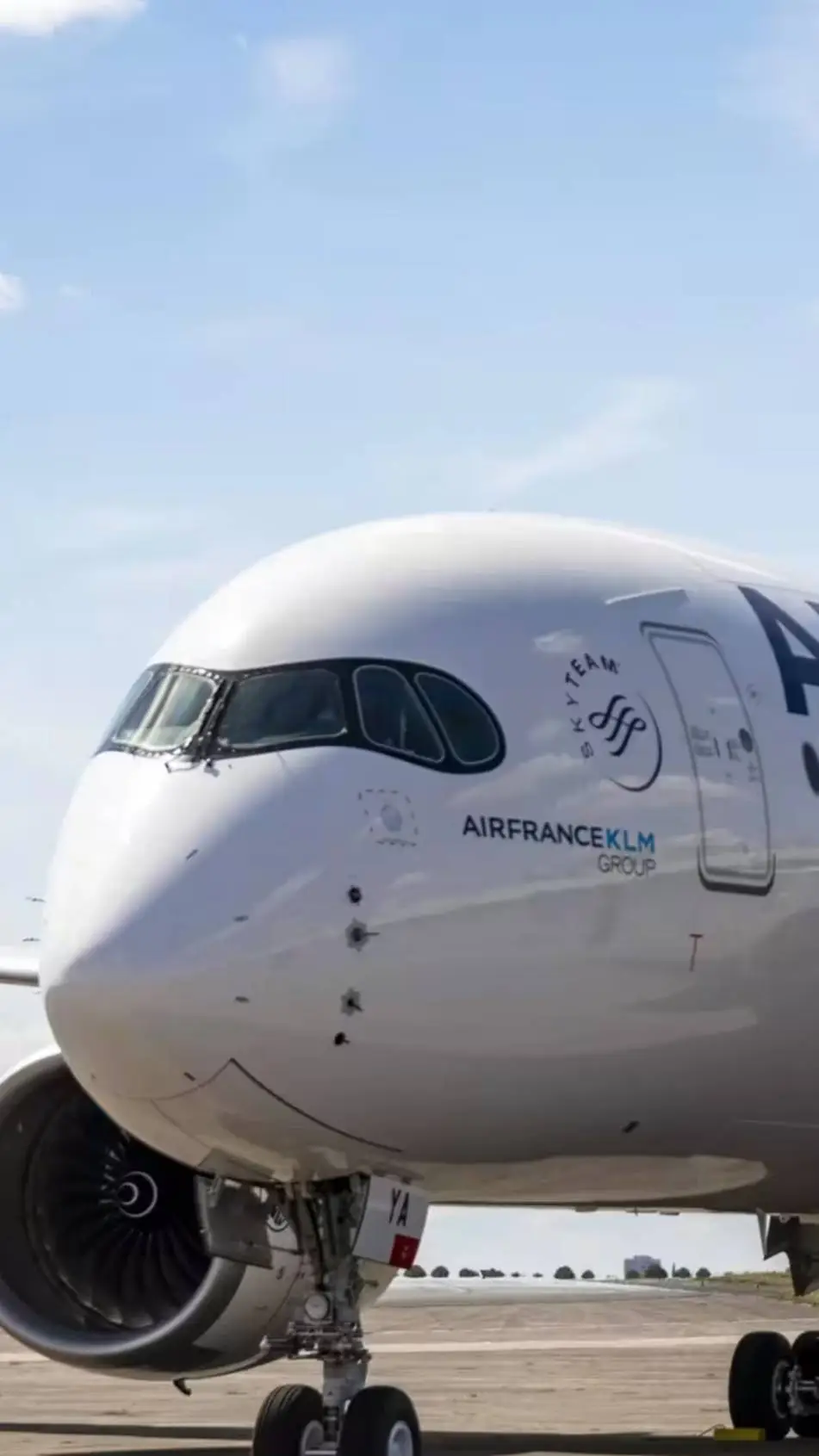 ai character: Plane crashes chat background