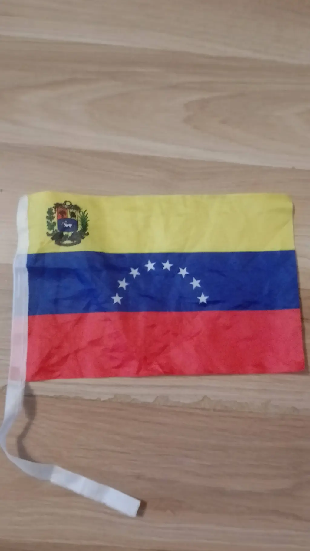 ai character: Venezuela Flag background
