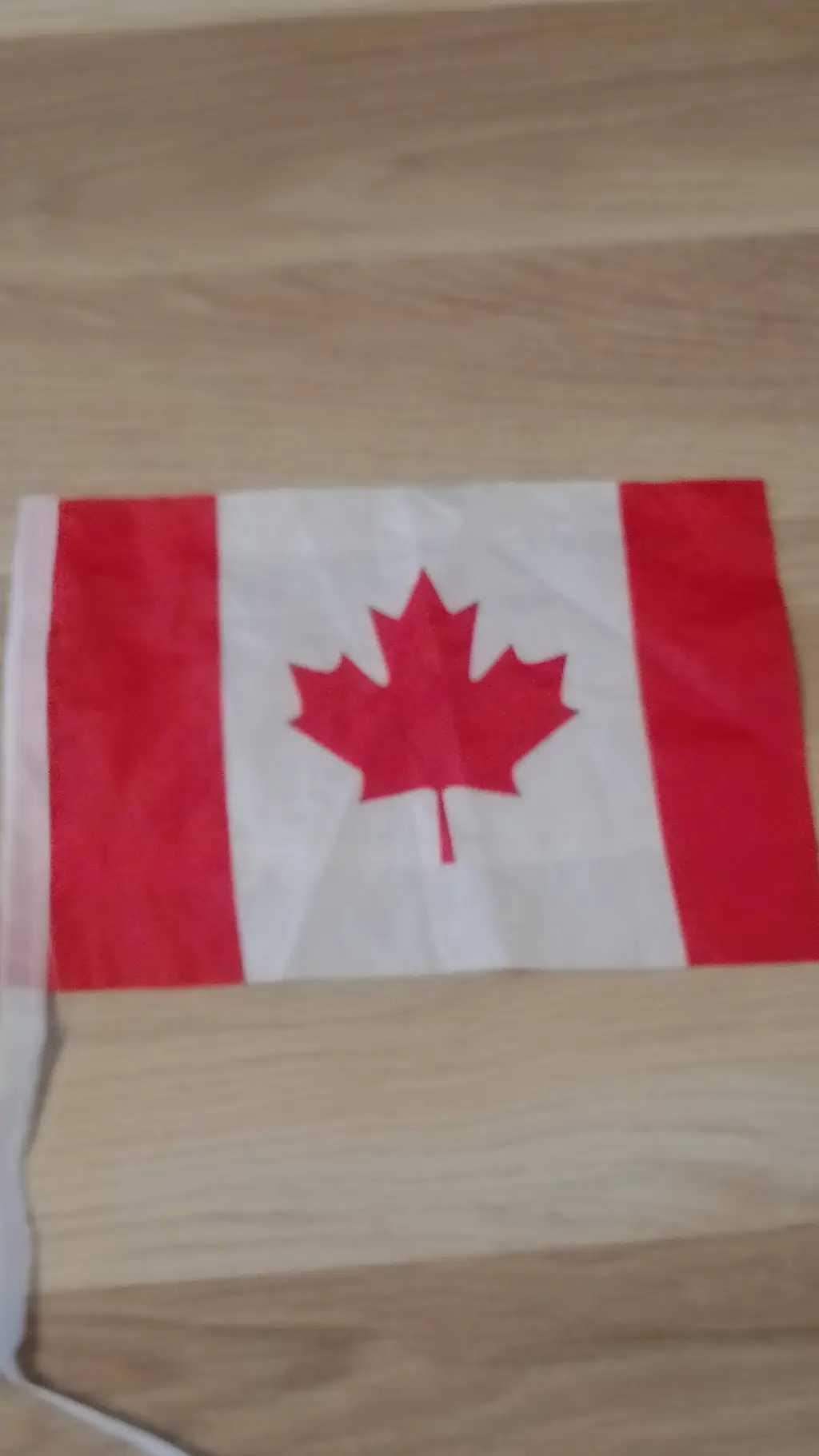 ai character: Canada Flag background