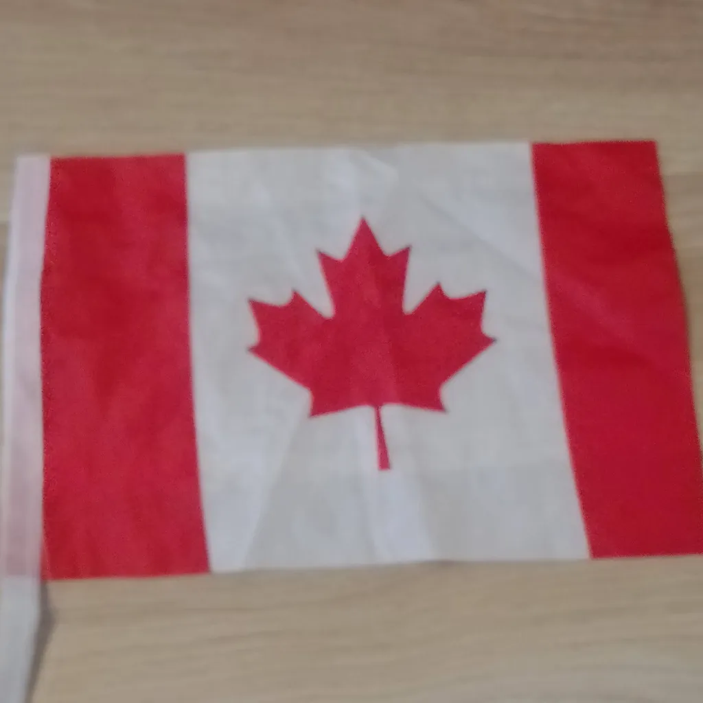 chat with ai character: Canada Flag