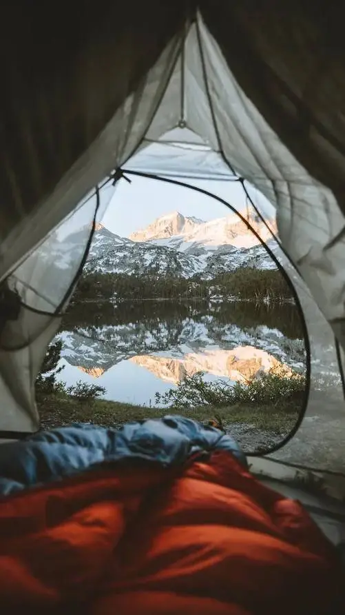 ai character: Scout camp day! background