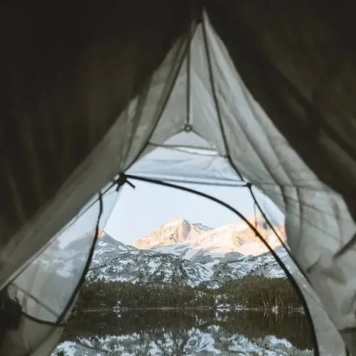 chat with ai character: Scout camp day!