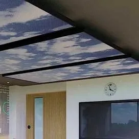 chat with ai character: Classroom Dw mc