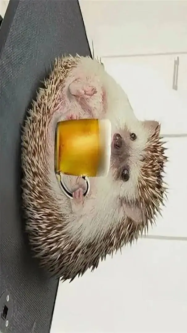 ai character: dRuNk HeDgEhOg background