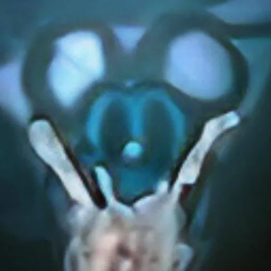 chat with ai character: P.N.Mickey