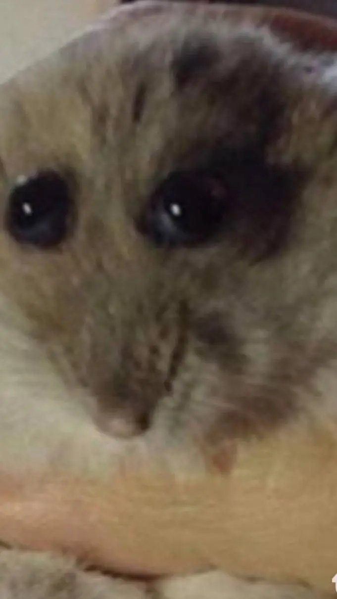 ai character: el HamPer  background