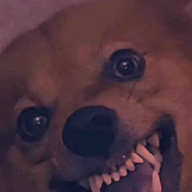 chat with ai character: Собака