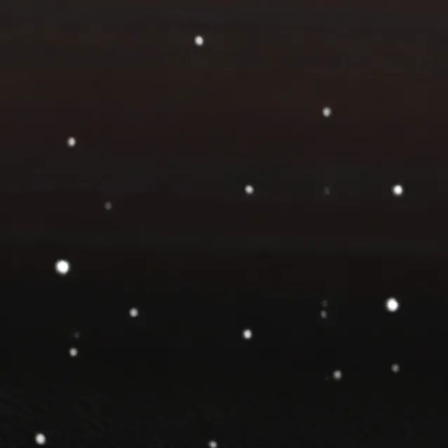 chat with ai character: luan