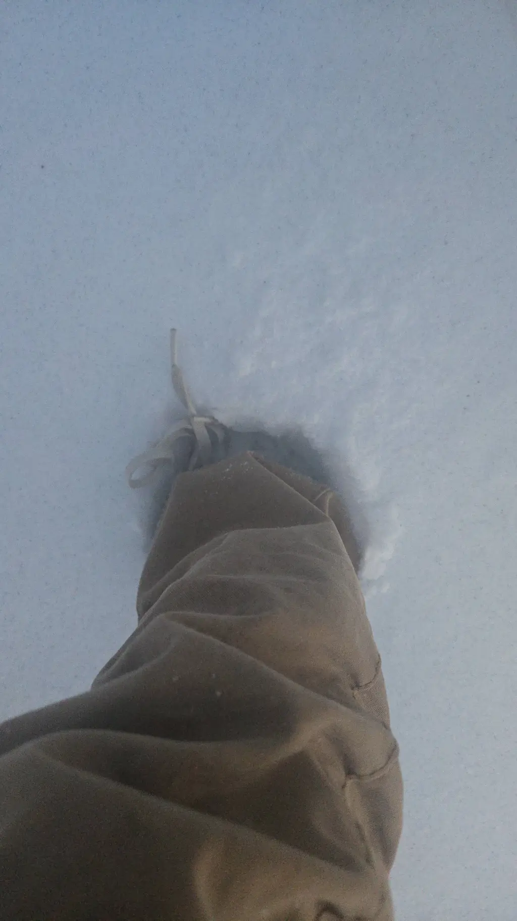 ai character: ……………………… background