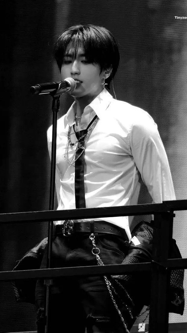 ai character: Han jisung background