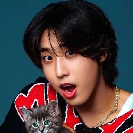 chat with ai character: han