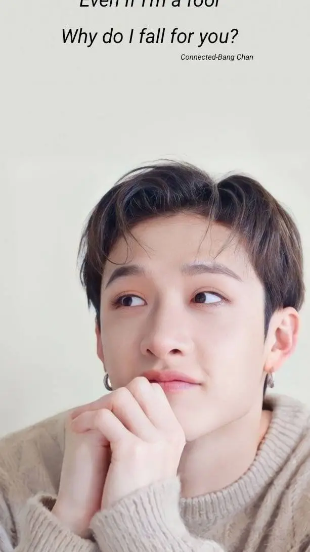 ai character: straykids  background