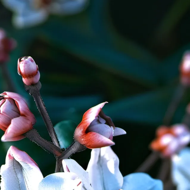 chat with ai character: Соуэй 