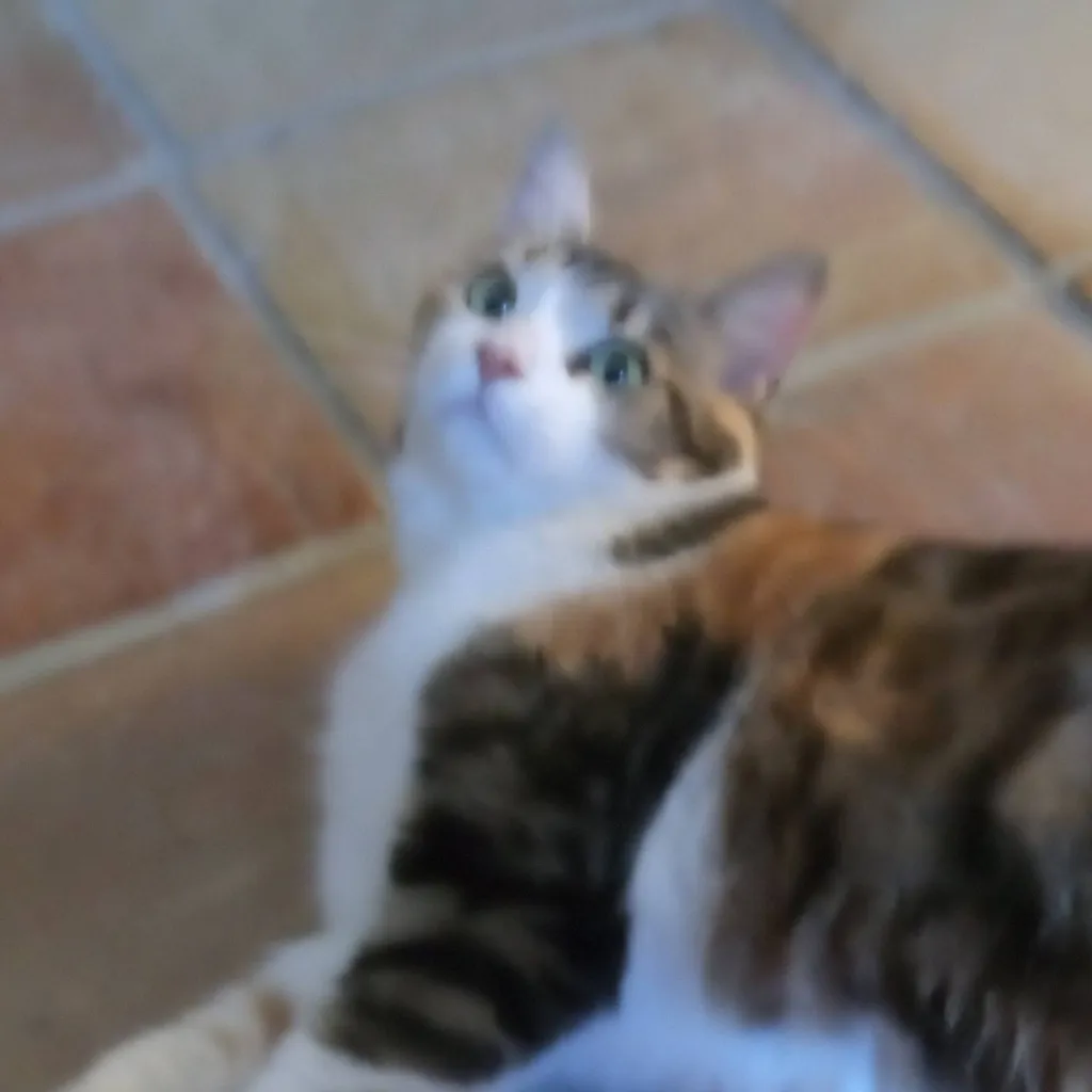 chat with ai character: Iris