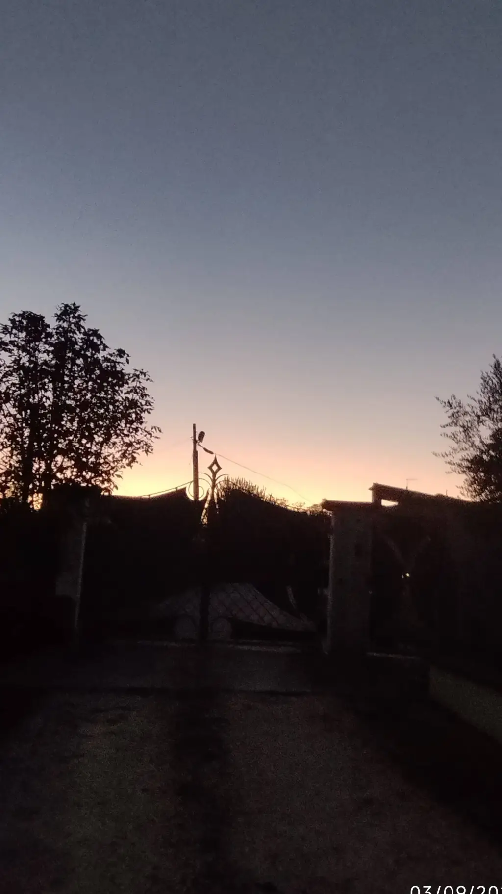 ai character: federico background