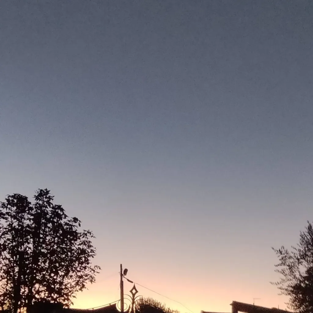 chat with ai character: federico