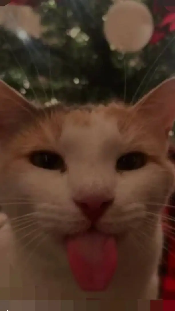 ai character: FORSAKENNN RAHHHH background