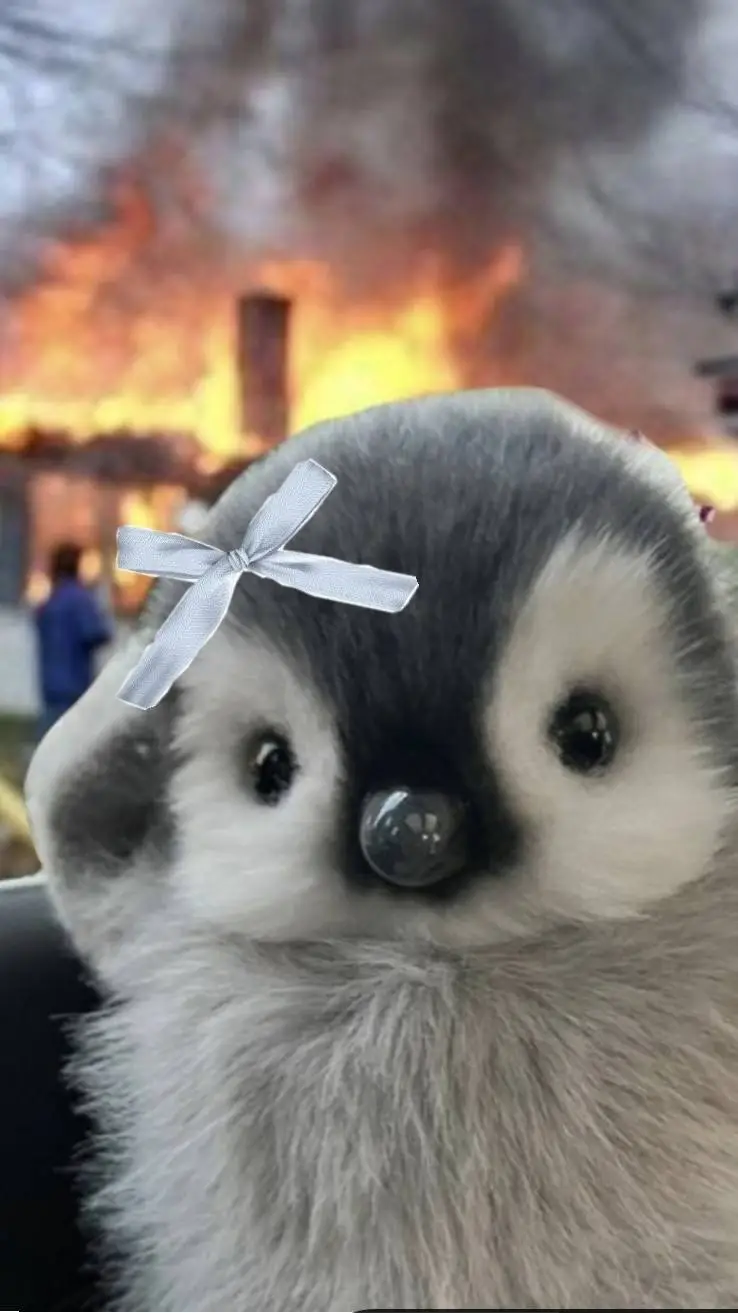 ai character: little 🐧 background