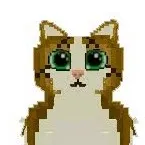 chat with ai character: Meowl