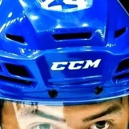 chat with ai character: Shane Hollander