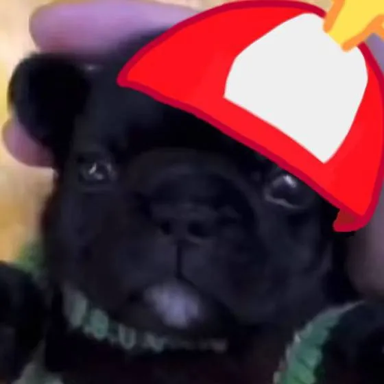 chat with ai character: omenaso x smoke 