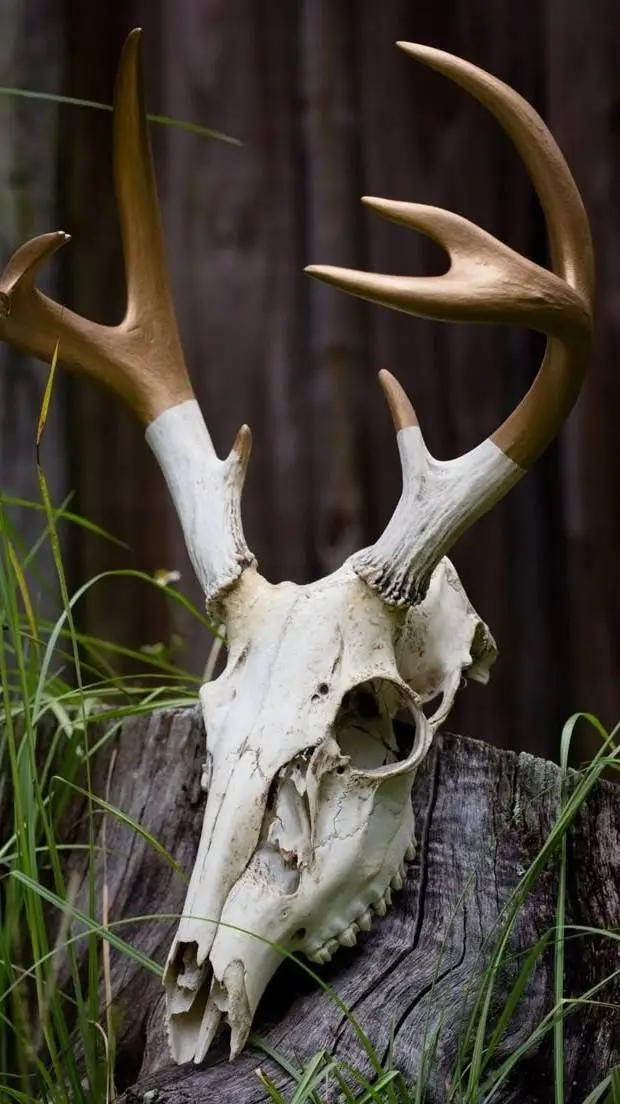 ai character: Wendigo background