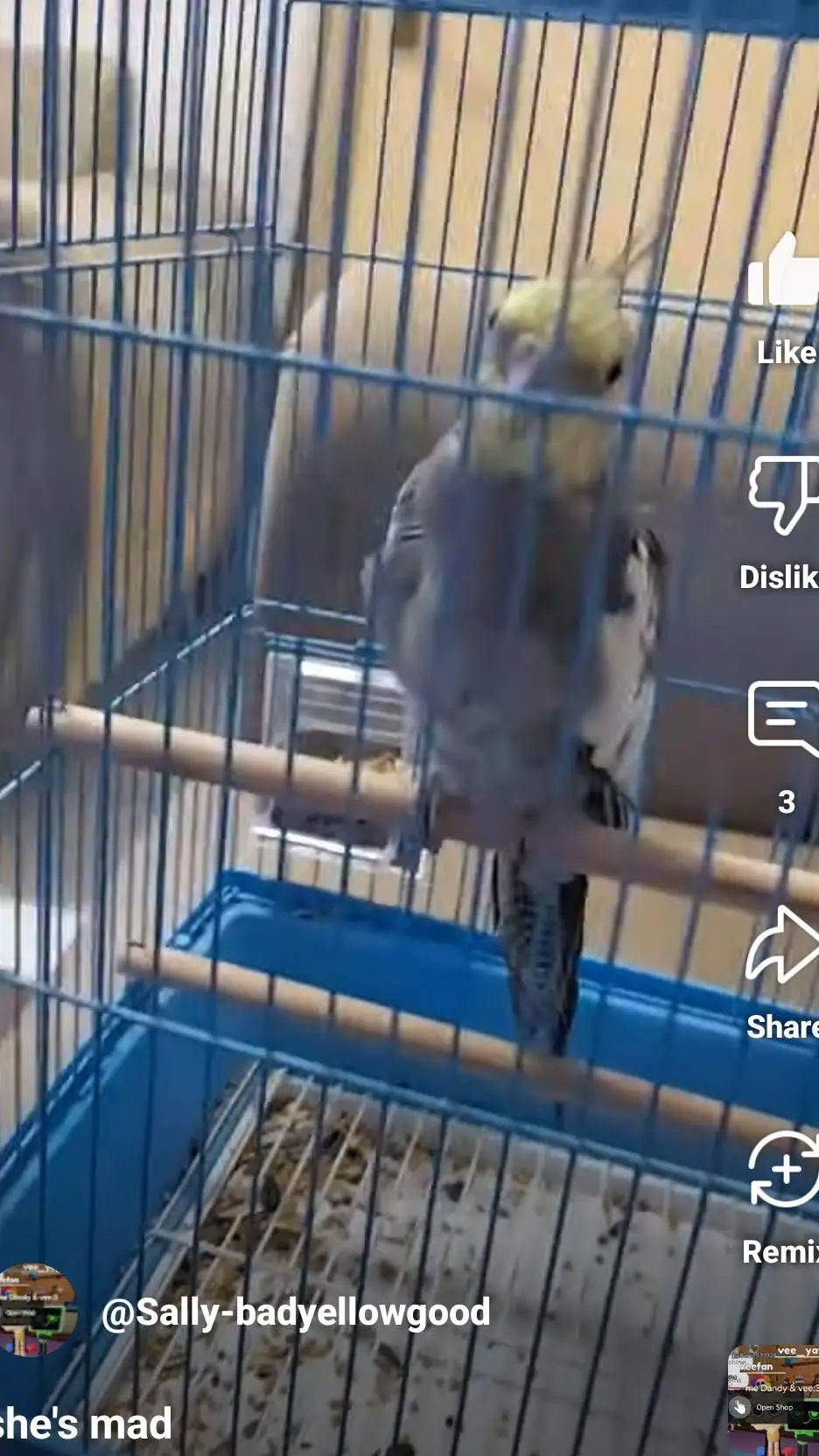 ai character: pikachu 2 background