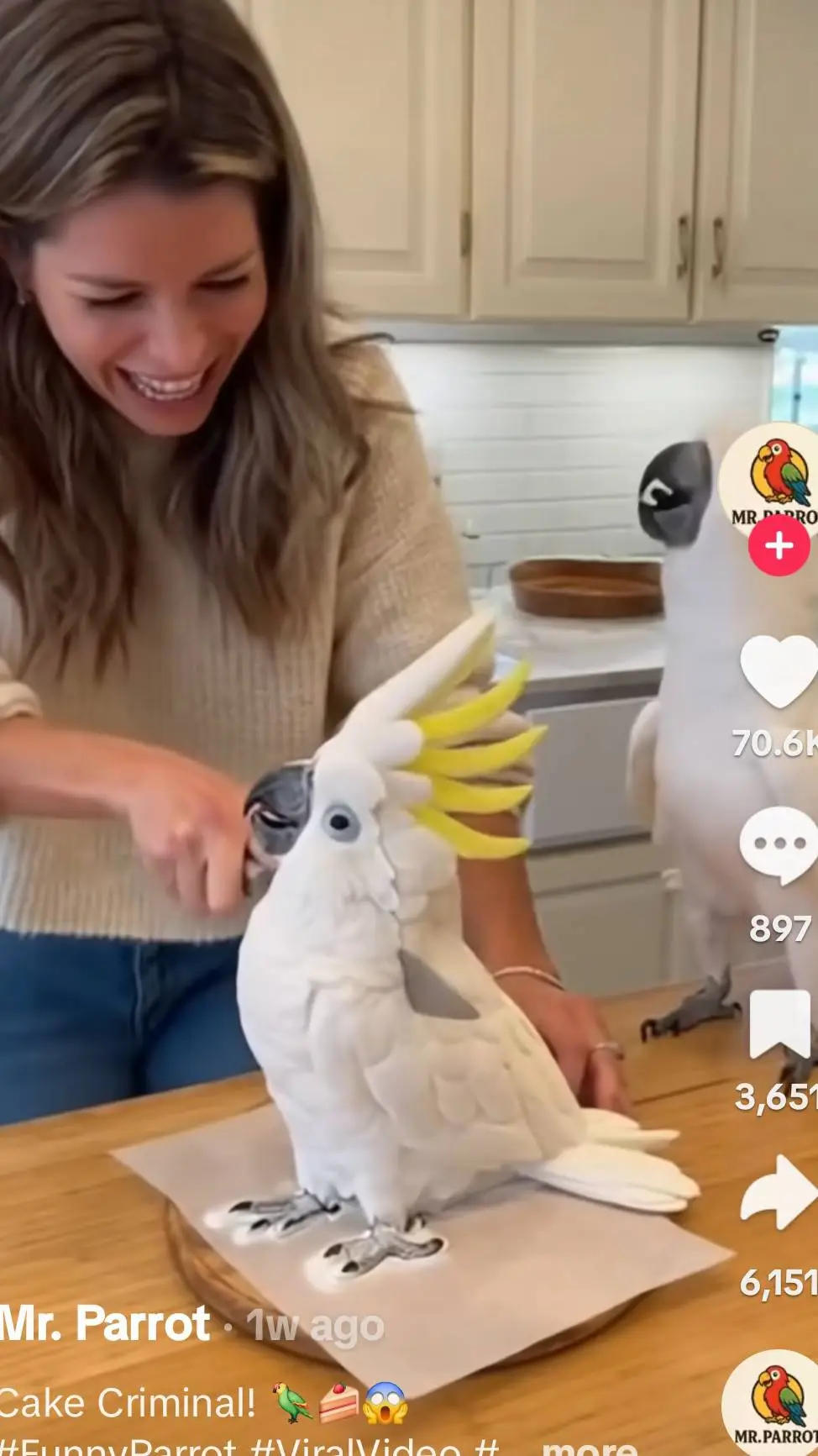 ai character: bird background